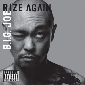 rize again download