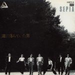 BDM-1031-150x150.jpg